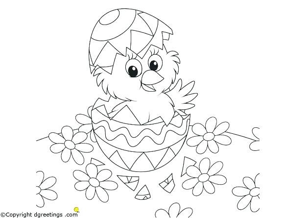 Easter Chicks Coloring Page 5