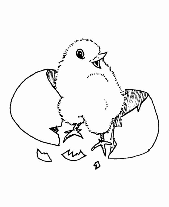 Easter Chicks Coloring Page 6
