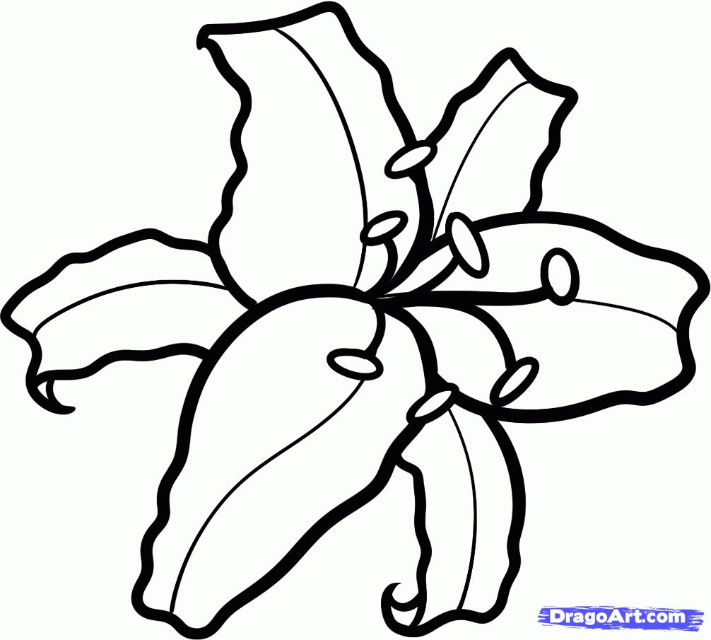 Easter Lily Coloring Page 30