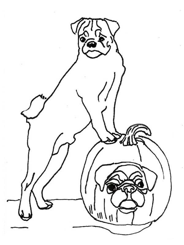 Halloween Dog Coloring Pages 9